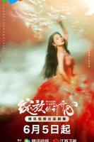 《绽放的许开心》电视剧全集免费在线观看高清完整版
